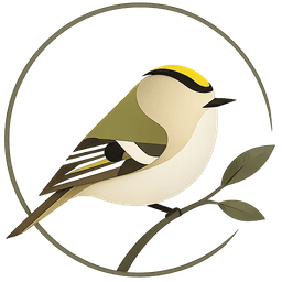 Goldcrest